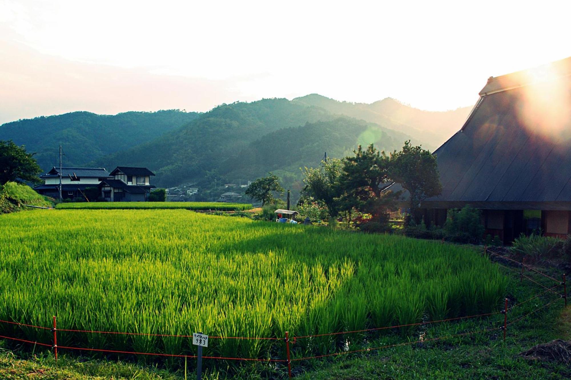 古民家の宿 ふるま家 Furumaya House Gastronomic Farmstay In Deep Kyoto Фукутияма Экстерьер фото